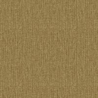 Marni Aloe - A
