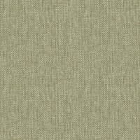 Marni Olive - A