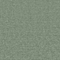 Zael Olive - B