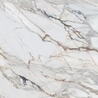 P31C - Calacatta Paonazzo